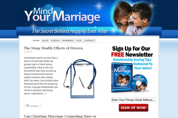 WordPress website example screenshot