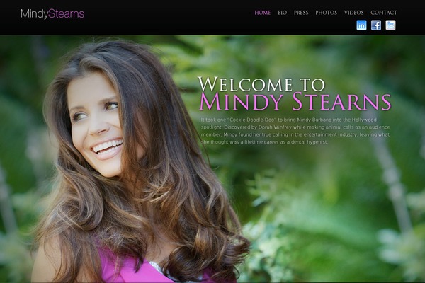 mindystearns.com site used Gstearns