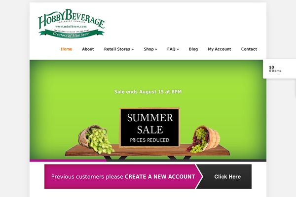 WordPress website example screenshot