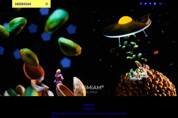 Site using Responsive Video Light plugin