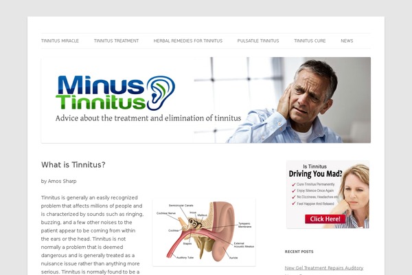 Twenty Twelve theme site design template sample