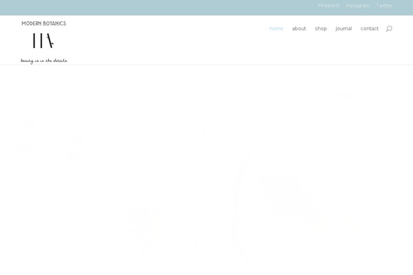 mipluseddesign.com site used Divi
