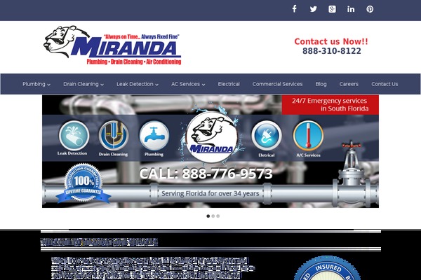 Site using All-in-one-seo-pack-pro plugin