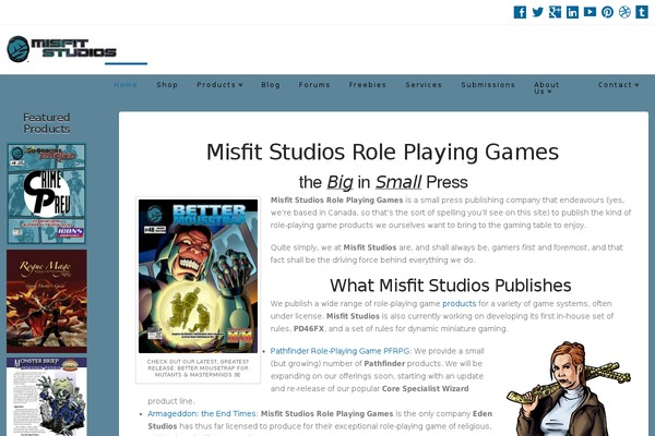 WordPress website example screenshot