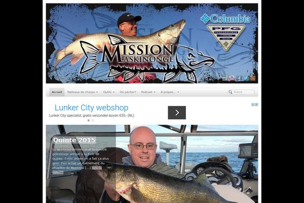Site using FLV Embed plugin