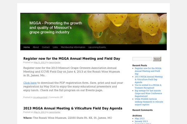 WordPress website example screenshot
