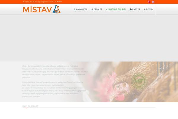 mistav.com.tr site used Kurumsall