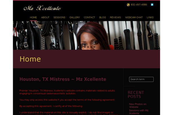 Jazzmaster theme site design template sample