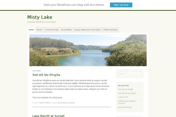 WordPress website example screenshot