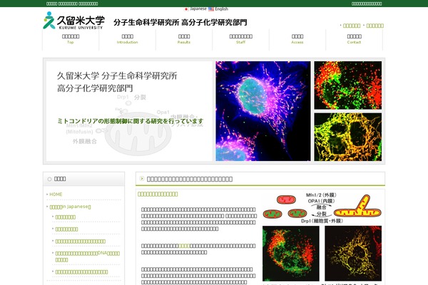 mitochondria.jp site used Cloudtpl_101