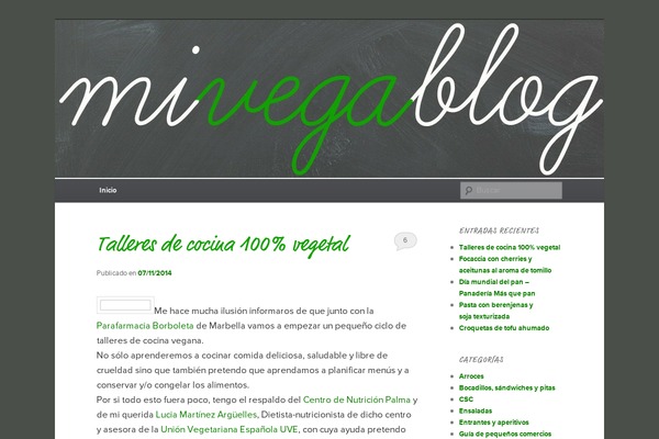 WordPress website example screenshot