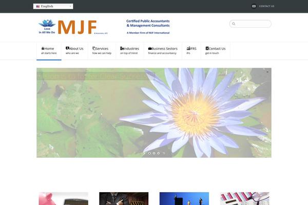 mjfllp.com site used Netstudio-wp