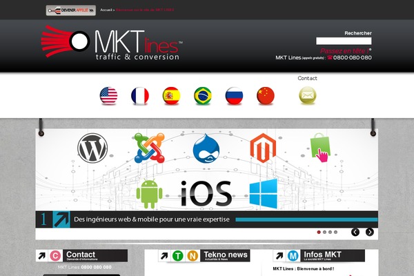 Anolox theme websites examples