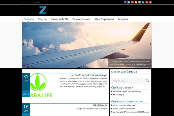 WordPress website example screenshot