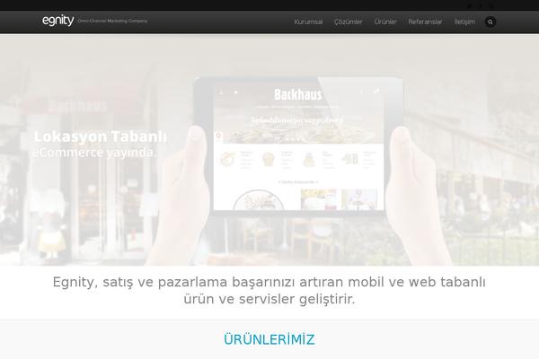 mmistanbul.com site used Egnity2013
