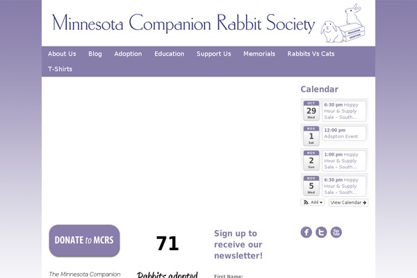 Rabbit_Theme theme websites examples