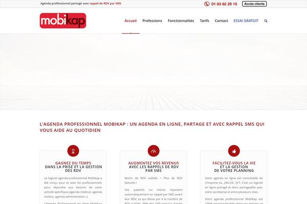 Enfold theme site design template sample