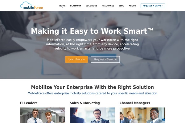 WordPress website example screenshot