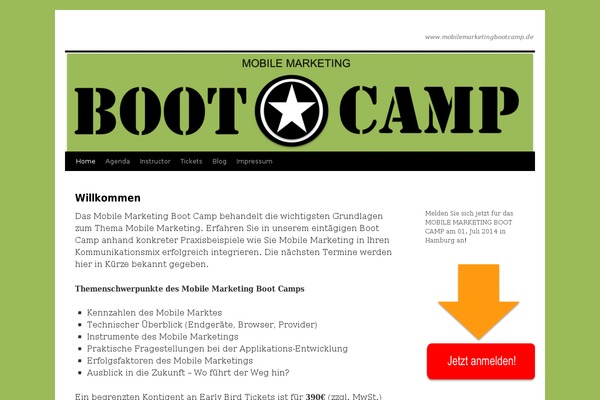 WordPress website example screenshot