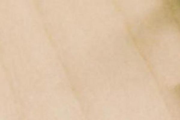 Twenty Seventeen theme site design template sample