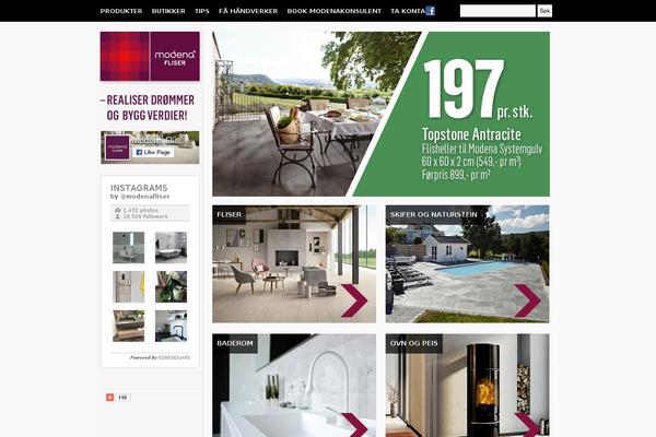 Modena theme site design template sample