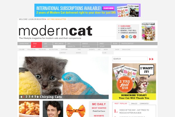 moderncat.com site used Modernpets
