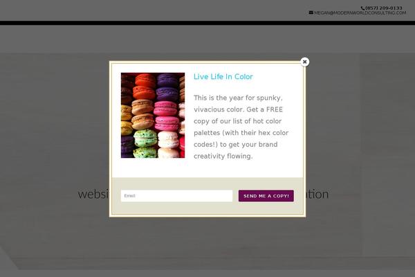 WordPress website example screenshot