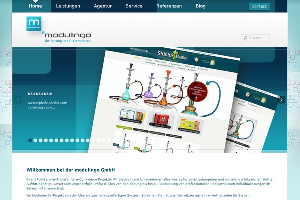 modulingo.de site used Mr