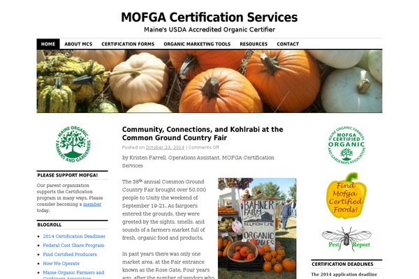 WordPress website example screenshot