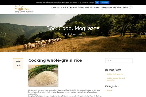 mogliazze.it site used Mogliazze