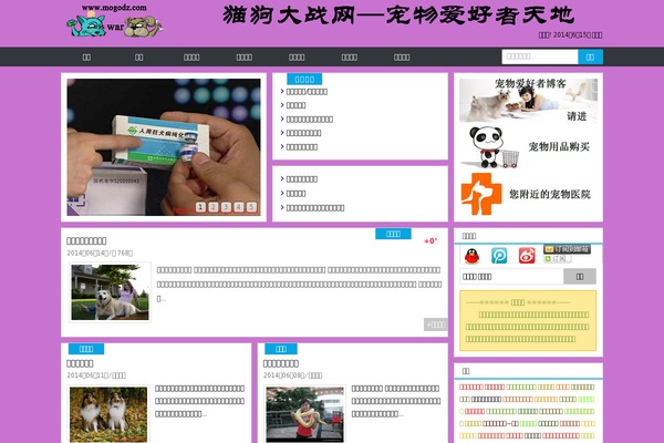 FengYun theme websites examples
