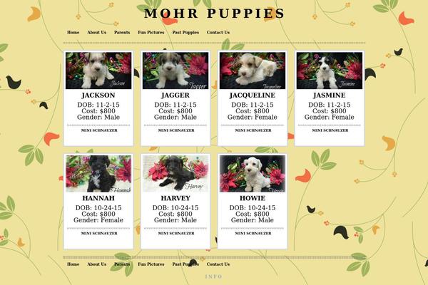 mohrpuppies.com site used Appliance
