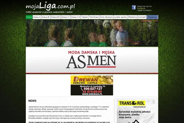 mojaliga.com.pl site used Liga