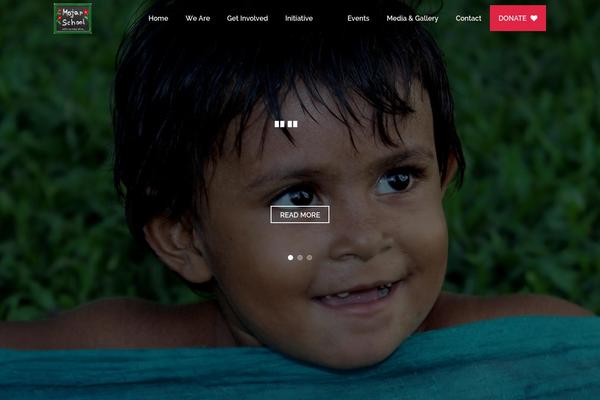 heal-wp theme websites examples
