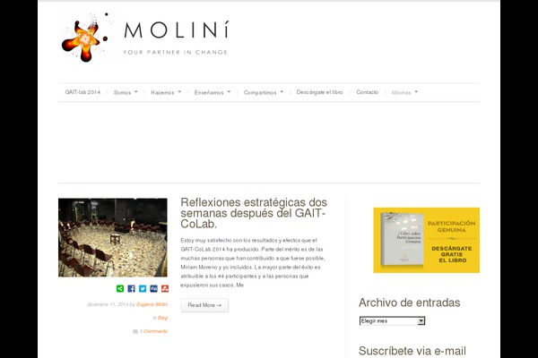 molini.es site used Pbn_template