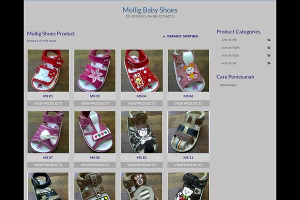 Virtue theme site design template sample