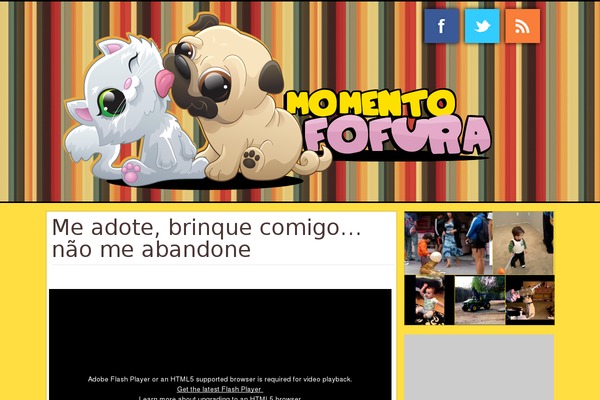 momentofofura.com.br site used Momentofofura