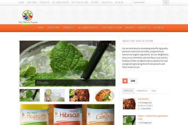 momintandthyme.com site used Foodpress