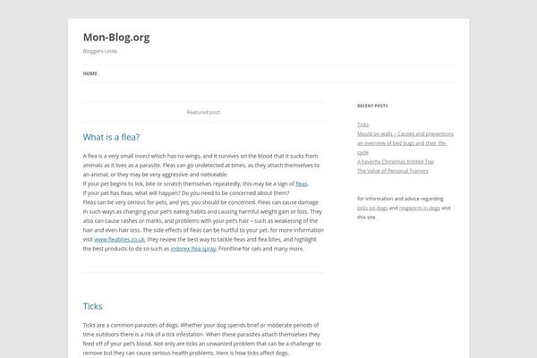 mon-blog.org site used Twenty Twelve