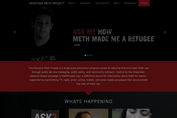 methproject theme websites examples