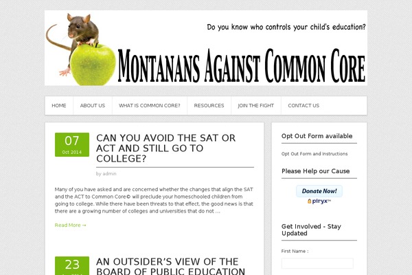 WordPress website example screenshot