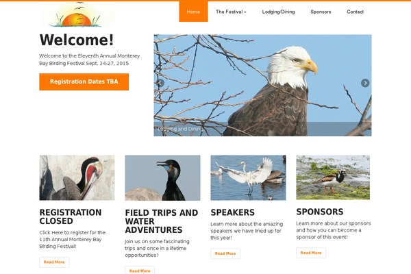 Discoverpro theme site design template sample