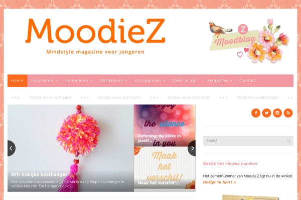 moodiez.nl site used Newsource-child