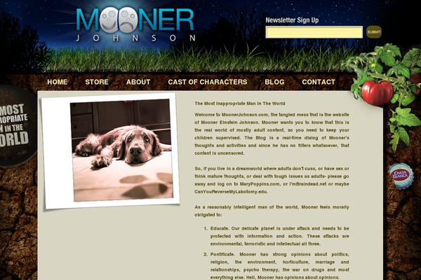 moonerjohnson.com site used Mooner