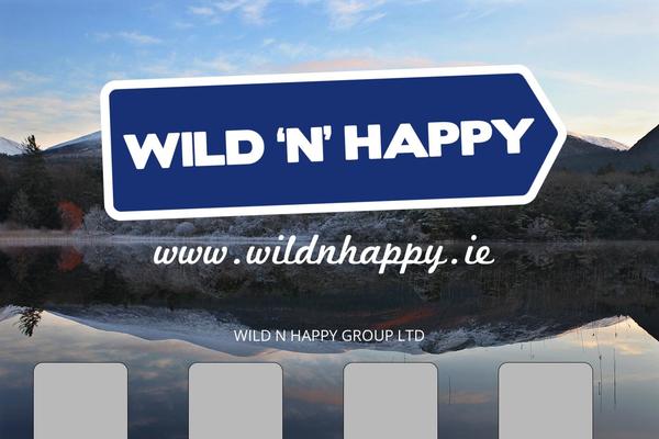 Wildcat theme site design template sample