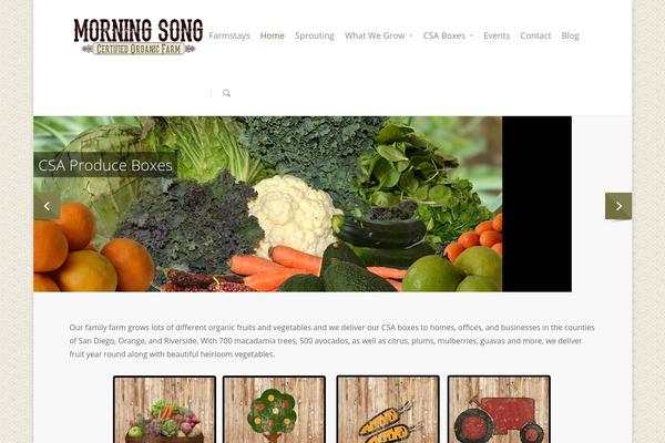 Salient theme site design template sample