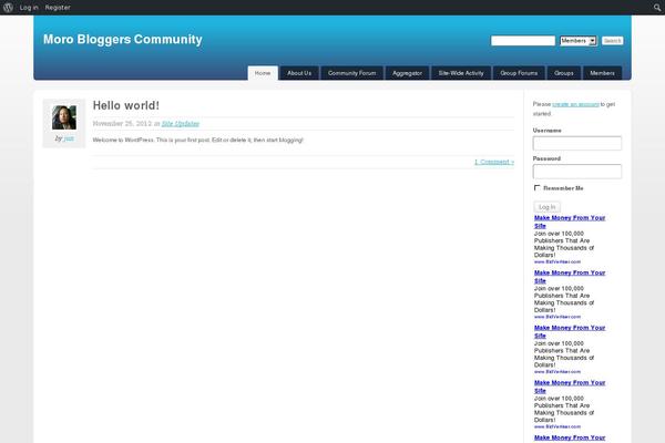 Site using bbPress plugin