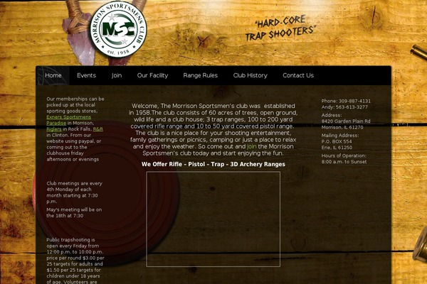 WordPress website example screenshot