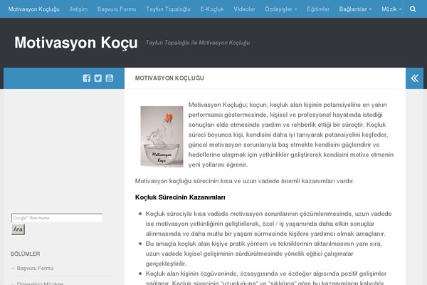 Hueman theme site design template sample