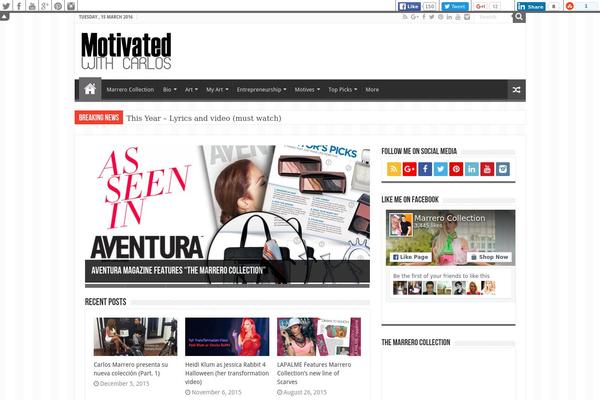 Site using Gallery - Photo Albums - Portfolio plugin